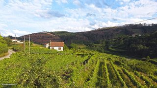 Land for sale in Amarante, Portugal — €60,000