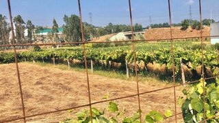 Land for sale in Paredes, Portugal — €285,000