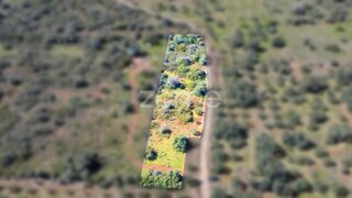 Land for sale in Silves, Portugal — €20,000