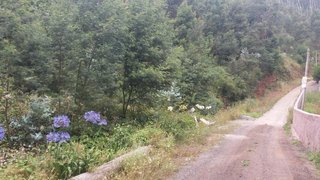 Land for sale in Funchal, Portugal — €125,000