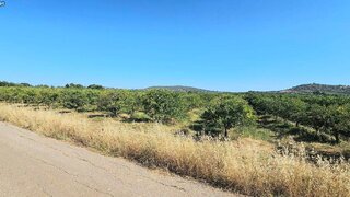 Land for sale in Silves, Portugal — €30,000
