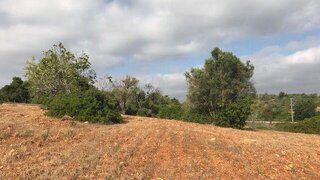 Land for sale in Silves, Portugal — €60,000