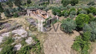 Terreno de 19 250 m² em Castelo Branco