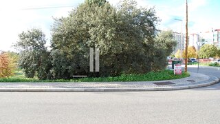 Terreno de 387 m² em Castelo Branco