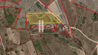 Terreno de 3400 m² em Castelo Branco