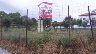 Terreno de 7919 m² em Castelo Branco