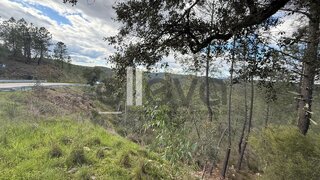 Terreno de 34 320 m² em Castelo Branco