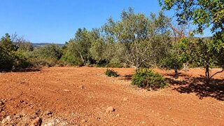 Terreno para venda em Loulé, Portugal — 17 000 €