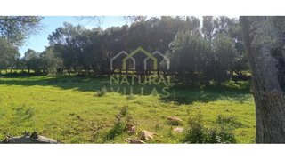 Land for sale in Olhão, Portugal — €45,000