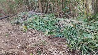 Terreno em Vila Real de Santo António