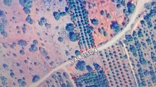 Terreno para venda em Silves, Portugal — 80 000 €