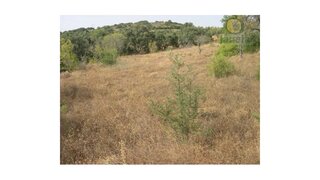 Terreno de 1240 m² em Faro