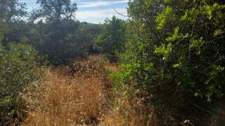 Land for sale in São Brás de Alportel, Portugal — €37,995