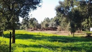 Land for sale in Loulé, Portugal — €22,000