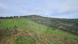 Terreno em Castro Marim