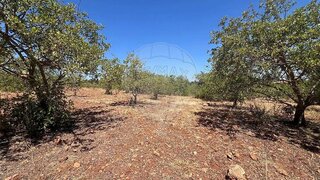 Land for sale in Silves, Portugal — €80,000