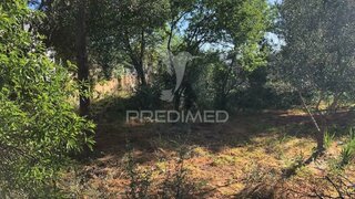 Land for sale in Marinha Grande, Portugal — €480,000