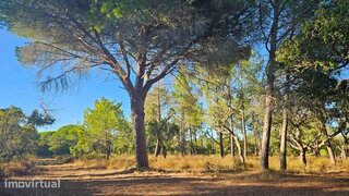 Land for sale in Lagos, Portugal — €79,000