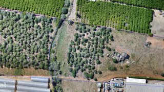 Terreno de 32 380 m² em Faro