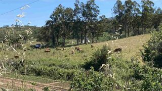 Land for sale in Silves, Portugal — €4,344,920