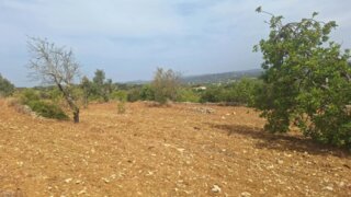 Terreno em Faro · 6880 m² · 50 000 €