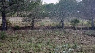 Land for sale in Alcoutim, Portugal — €32,000