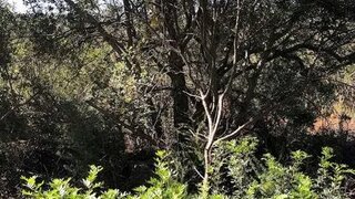 Land for sale in Olhão, Portugal — €55,000