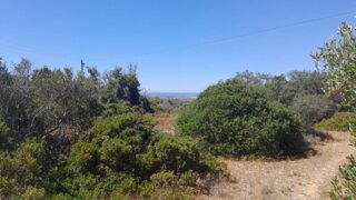 Land for sale in Faro, Portugal — €48,000