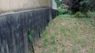 Terreno · 1630 m² · 29 500 €