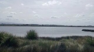 Land for sale in Ovar, Portugal — €16,000