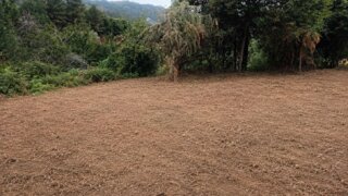 Terreno em Ponte da Barca