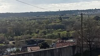 Land for sale in Albergaria-a-Velha, Portugal — €60,000