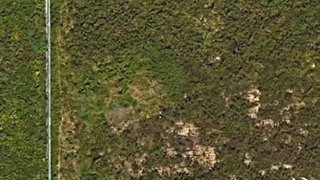 Land for sale in Santa Maria da Feira, Portugal — €130,000