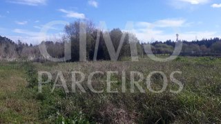 Land for sale in Anadia, Portugal — €30,000