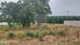 Land for sale in Anadia, Portugal — €128,500