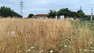 Land for sale in Estarreja, Portugal — €39,000