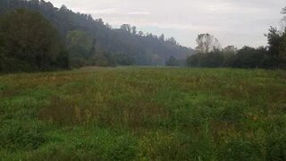 Land for sale in Águeda, Portugal — €20,000