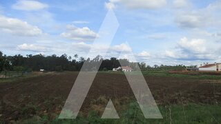 Land for sale in Oliveira do Bairro, Portugal — €172,500