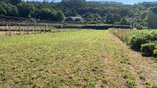 Terreno em Caminha