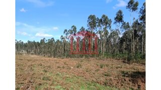 Terreno para venda em Barcelos, Portugal — 135 000 €