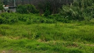 Land for sale in Albergaria-a-Velha, Portugal — €15,000