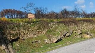 Terreno em Sabrosa