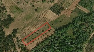 Terreno em Macedo de Cavaleiros