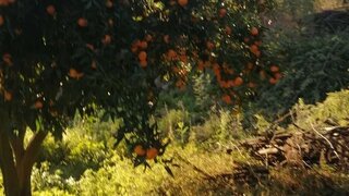 Terreno em Vila Nova de Gaia