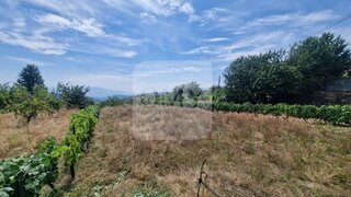 Terreno em Vila Real