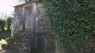Land for sale in Sever do Vouga, Portugal — €35,000
