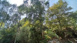 Land for sale in Amarante, Portugal — €160,000