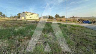 Land for sale in Anadia, Portugal — €60,000
