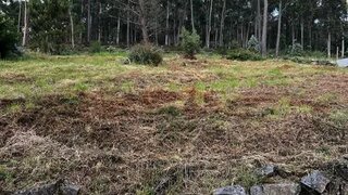 Land for sale in Barcelos, Portugal — €55,000