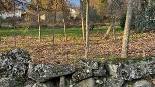 Terreno de 1311 m² em Vila Real
